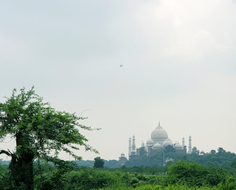 New Delhi & Agra - India