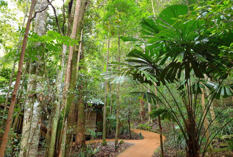 Narrows Escape - Sunshine Coast