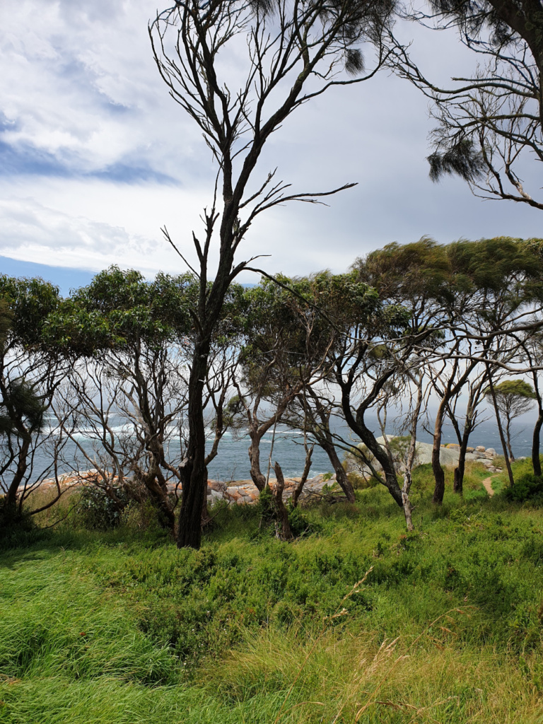 Australia Tasmania's East Coast - Bicheno to Freycinet National Park